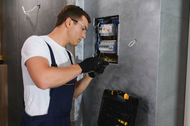 Best Ceiling Fan Installation Electrician  in Olive Hill, KY